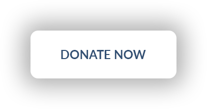 Donate Now Button